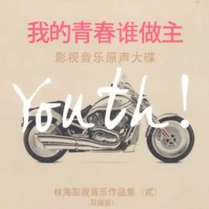 影视音乐原声大碟《我的青春谁做主》林海影视音乐作品集贰[WAV+CUE]