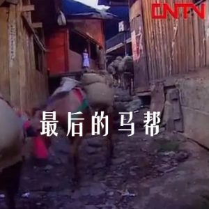 最后的马帮 1999 [4集][央视纪录片][国语配音中文字幕]