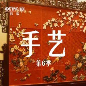手艺 2016 [央视纪录片][第六季全16集][国语配音中文字幕][1080P]