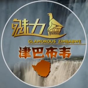 魅力津巴布韦[3集][国语配音中文字幕][1080P]