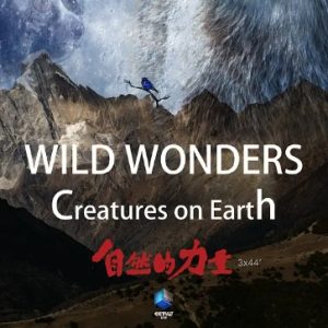 自然的力量[全6集][普通话][720P高清]