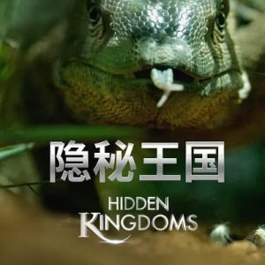 隐秘王国 Hidden Kingdoms 2014年 [全3集][英语中英双字][1080P]