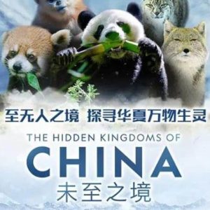 未至之境 2019年[全5集]][BBC][英语中字[1080超清]