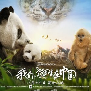 我们诞生在中国 2016年 [全1集][普通话][1080P]