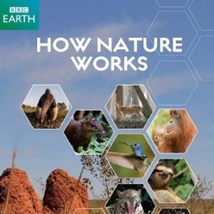 探秘自然界How Nature Works 2013年 [全4集][BBC][英语中字][1080P]