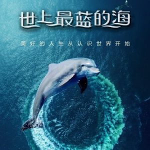 世上最蓝的海Great Barrier Reef: A Living Treasure 2019年 [全8集][英语双字][1080P]