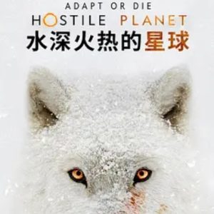 水深火热的星球 Hostile Planet 2019年 [第1季全6集][英语][1080P]