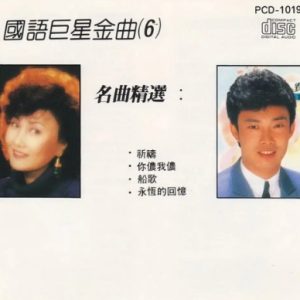 群星1989 -《国语巨星金曲6》日本东芝版[WAV+CUE]