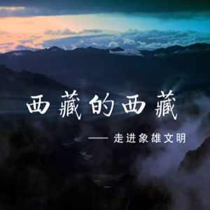 西藏的西藏[5集][国产纪录片][国语配音中文字幕][1080P]