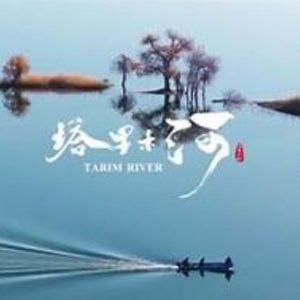 塔里木河[6集][央视纪录片][国语中字][1080P]