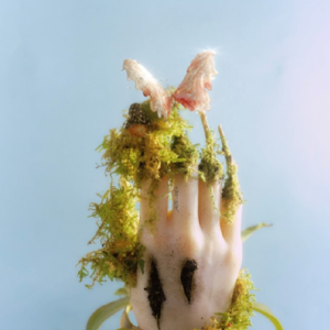 刘恋2025-奇谈[TME][FLAC分轨]