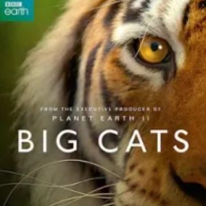 大猫：终极猎食者[全3集][BBC纪录片][英语中字][1080P]