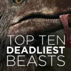 十大致命的捕食者2018年[BBC][全2集][英语双语字幕][1080P]