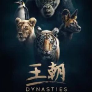 王朝[第一季全5集][英语原版][1080P]