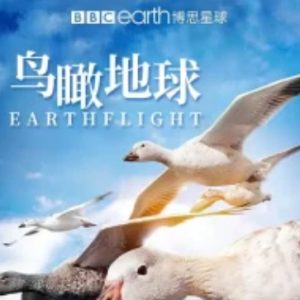 鸟瞰地球[全6集][BBC纪录片][1080P]