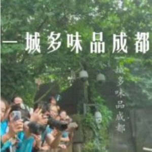 一城多味品成都 2019[1集][央视纪录片][国语配音中文字幕][4K高清]