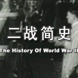 二战简史[9集][央视译制纪录片][国语配音中文字幕][1080P]