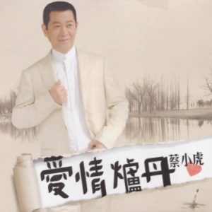 蔡小虎2008-爱情炉丹[台湾首版][WAV]
