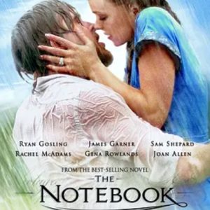恋恋笔记本 The Notebook (2004)