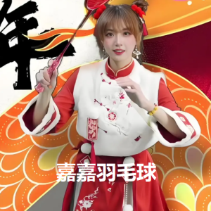 嘉嘉羽毛球 成人羽毛球 基础进阶 三合一精品课