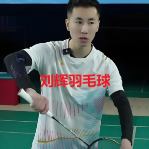 刘辉 羽毛球4套[后场+反手+小飞侠+轻技术]