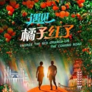 遇见橘子红了[4集][央视纪录片][国语中字][1080P]