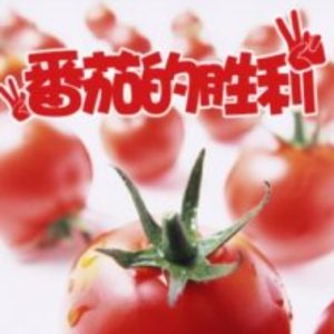 番茄的胜利[1集][央视纪录片][国语配音中文字幕][1080P]