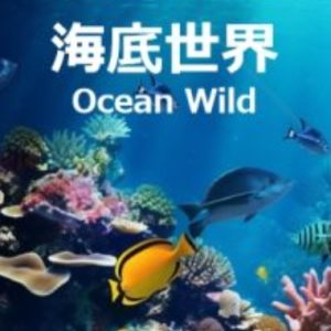 海底世界 第一季 Ocean Wild Season 1 (2019)