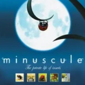 微观小世界/昆虫总动员[第一季共78集][动画纪录片][无对白动画][1080P]