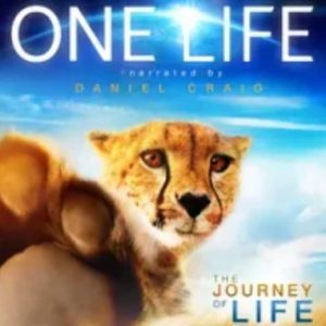 地球生灵 One Life 2011[全1集][英语翻译中英双字][1080P]