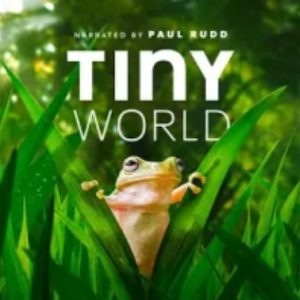 小小世界Tiny World[第二季 共6集][Apple TV+纪录片][英语配音中文字幕][4k高清]