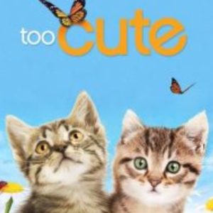 萌宠成长记[第一季全6集][央视译制纪录片][双语中字][1080P]