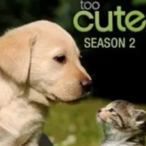 萌宠成长记[第二季共16集][纪录片][英语中字][1080P]