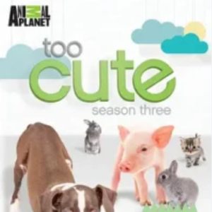 萌宠成长记[第三季共13集][纪录片][英语中字][1080P]