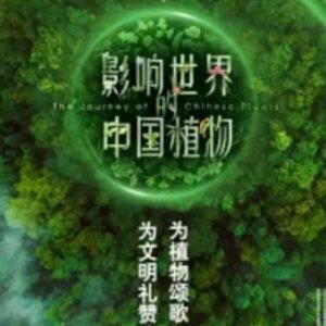 影响世界的中国植物 2019[央视纪录片][10集][国语配音中文字幕][1080P]