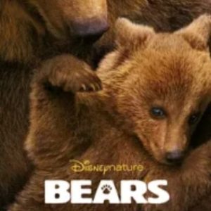 熊世界 Bears (2014)