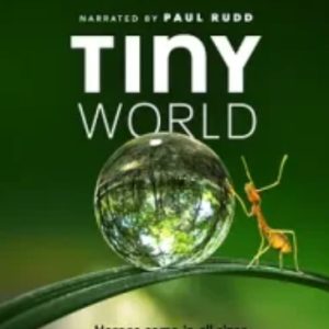 小小世界 第一季 Tiny World Season 1 (2020)