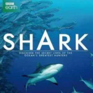 碧海狂鲨/鲨鱼[3集][BBC][原声配音中英双字幕][720P]