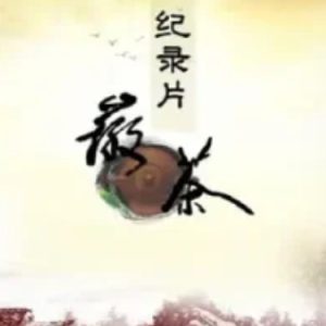 徽茶 2013[BTV纪录片][2集][国语配音中文字幕][720P]