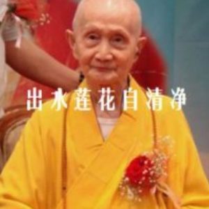 出水莲花自清净[1集][惟贤法师纪录片][国语配音中文字幕][720P]