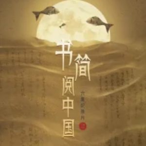 书简阅中国[6集][央视纪录片][国语配音中文字幕][1080P]