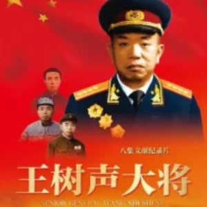 王树声大将[央视纪录片][6集][国语配音中文字幕][720P]