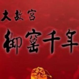 百家讲坛之大故宫[第四部共17集][央视阎崇年讲坛][国语中字][720P]