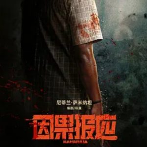 因果报应 Maharaja (2024)