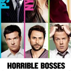 恶老板 Horrible Bosses (2011)
