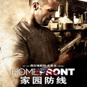 家园防线 Homefront (2013)