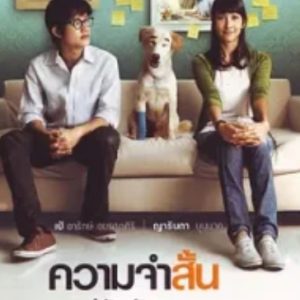 爱久弥新 ความจำสั้น แต่รักฉันยาว (2009)