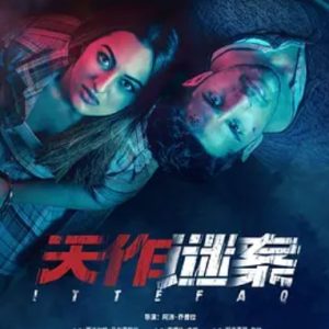 天作谜案 Ittefaq (2017)