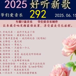 群星《2025好听新歌292》车载音乐【24bit -WAV分轨】