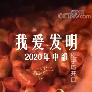 我爱发明 2020年 [中部91集][央视纪录片][国语中字][720P]